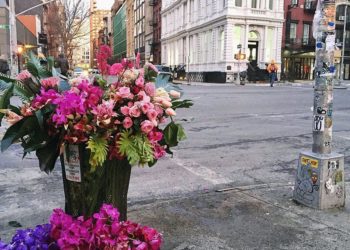 Lewis Miller – Flower Trash Cans