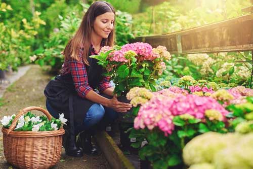 SBE Wholesale Flowers in Calgary - Make An Order