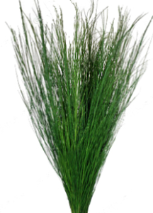 Stallion Concrete Color - Greenery