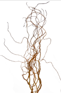 Stallion Concrete Color - Branches and Twigs