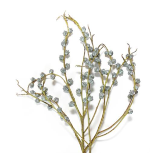 Stallion Concrete Color - Eucalyptus