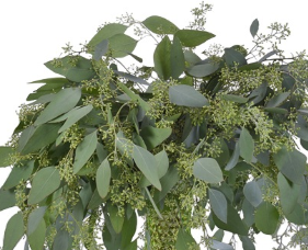 Stallion Concrete Color - Greenery