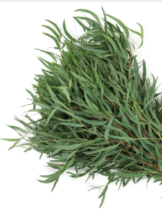 Stallion Concrete Color - Greenery