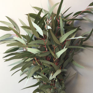 Stallion Concrete Color - Eucalyptus