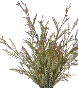 Stallion Concrete Color - Greenery