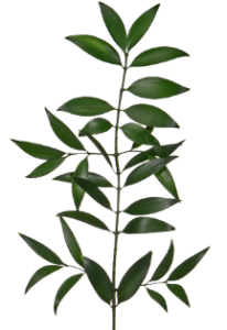 Stallion Concrete Color - Greenery