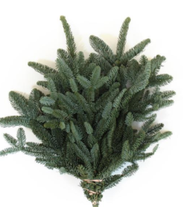 Stallion Concrete Color - Winter Greens