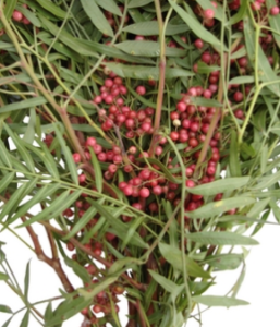 Stallion Concrete Color - Berries