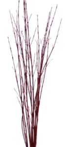 Stallion Concrete Color - Branches and Twigs