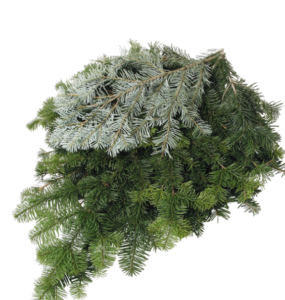Stallion Concrete Color - Winter Greens