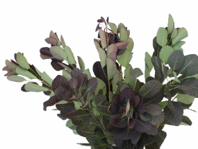 Stallion Concrete Color - Greenery