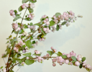 Stallion Concrete Color - Berries