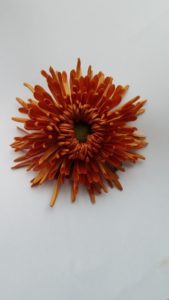 Stallion Concrete Color - Mums – Commercial, Cremone, Spider