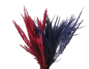 Stallion Concrete Color - Fall Seasonal Items
