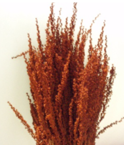 Stallion Concrete Color - Fall Seasonal Items